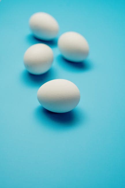 Blue-tinted eggs on a blue surface, similar to the blue eggs Ameraucana chickens produce
