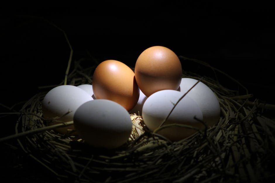 A basket of brown and white chicken eggs beautifully arranged