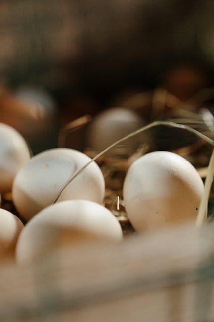 Close-up of chicken eggs in a straw nest showing shell quality and texture