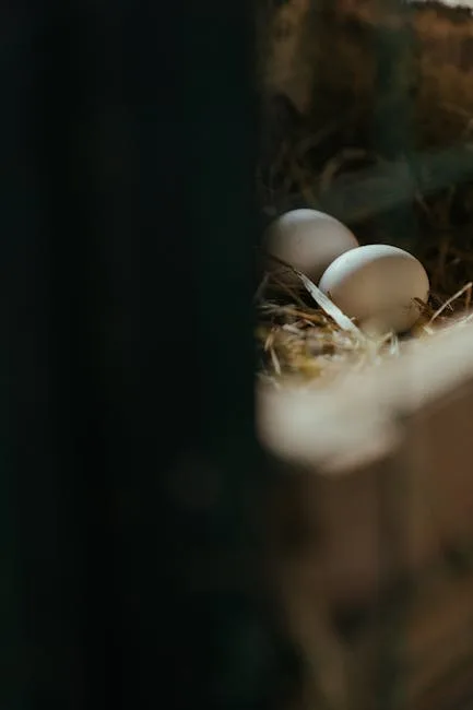 Hens settle into a box more readily when it feels enclosed and dim