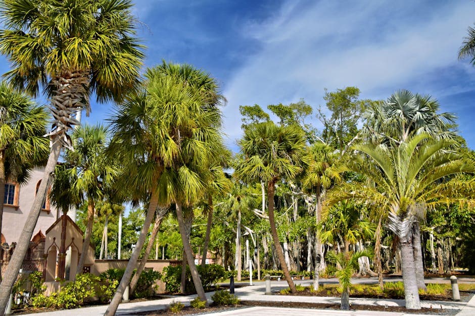 A lush tropical garden setting