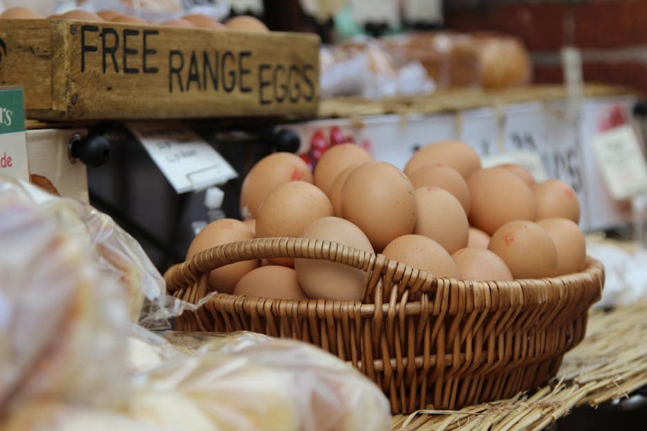 A basket of large brown free range eggs from Jersey Giant chickens