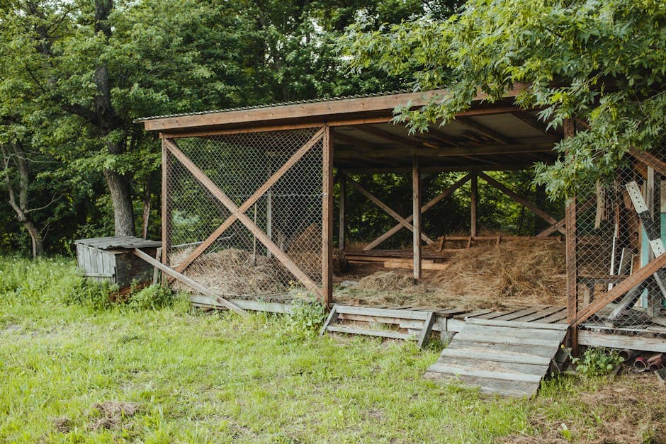 A rustic wooden chicken coop in a backyard with hay bedding inside