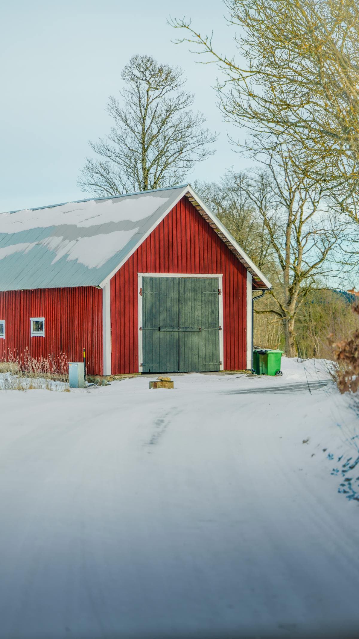 Chickens in a snowy barn setting