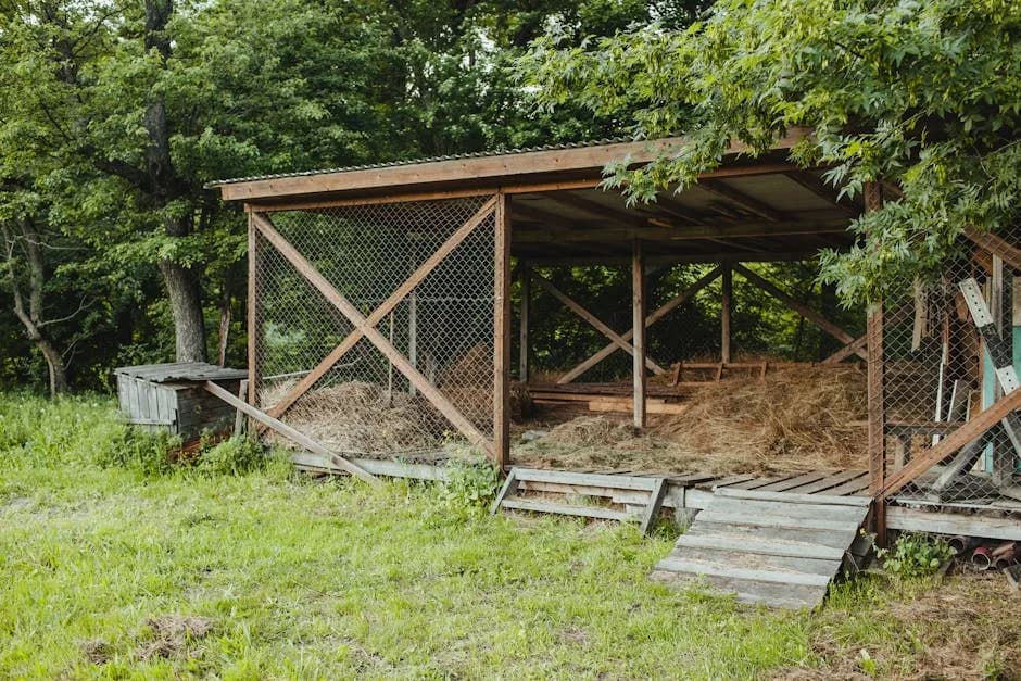 Best Chicken Coops Under $500 (2026 Buyer's Guide)