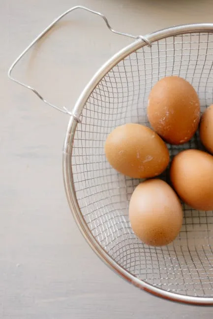 Marans Chicken: Complete Breed Guide (Dark Eggs, Size, Care)