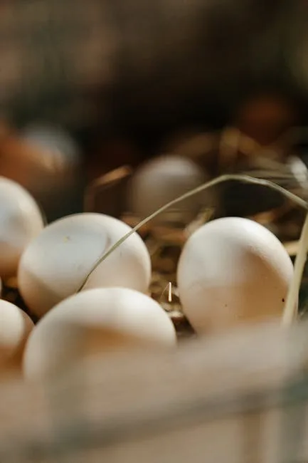 Fresh chicken eggs resting in a straw nest, showing the variety of colors backyard flocks produce