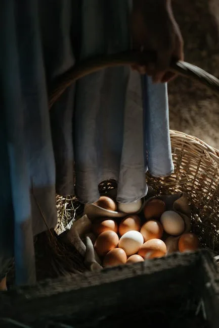 Fresh farm eggs collected in a rustic wicker basket