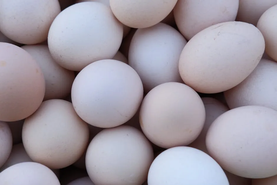 Eggs and farm products for sale at a farmers market