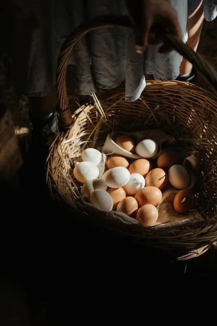 Wicker basket filled with freshly gathered farm eggs