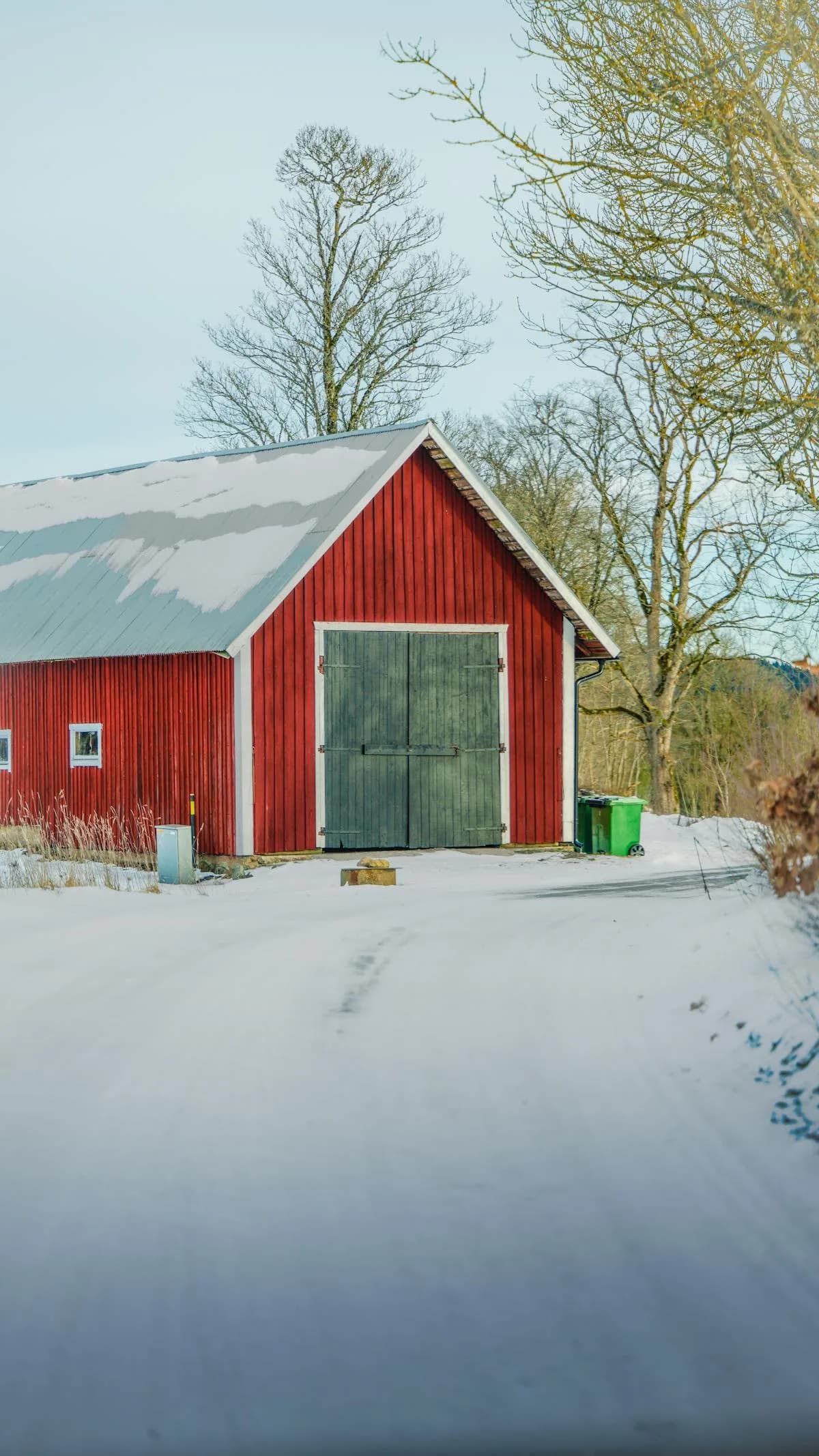 Chickens in a snowy barn setting