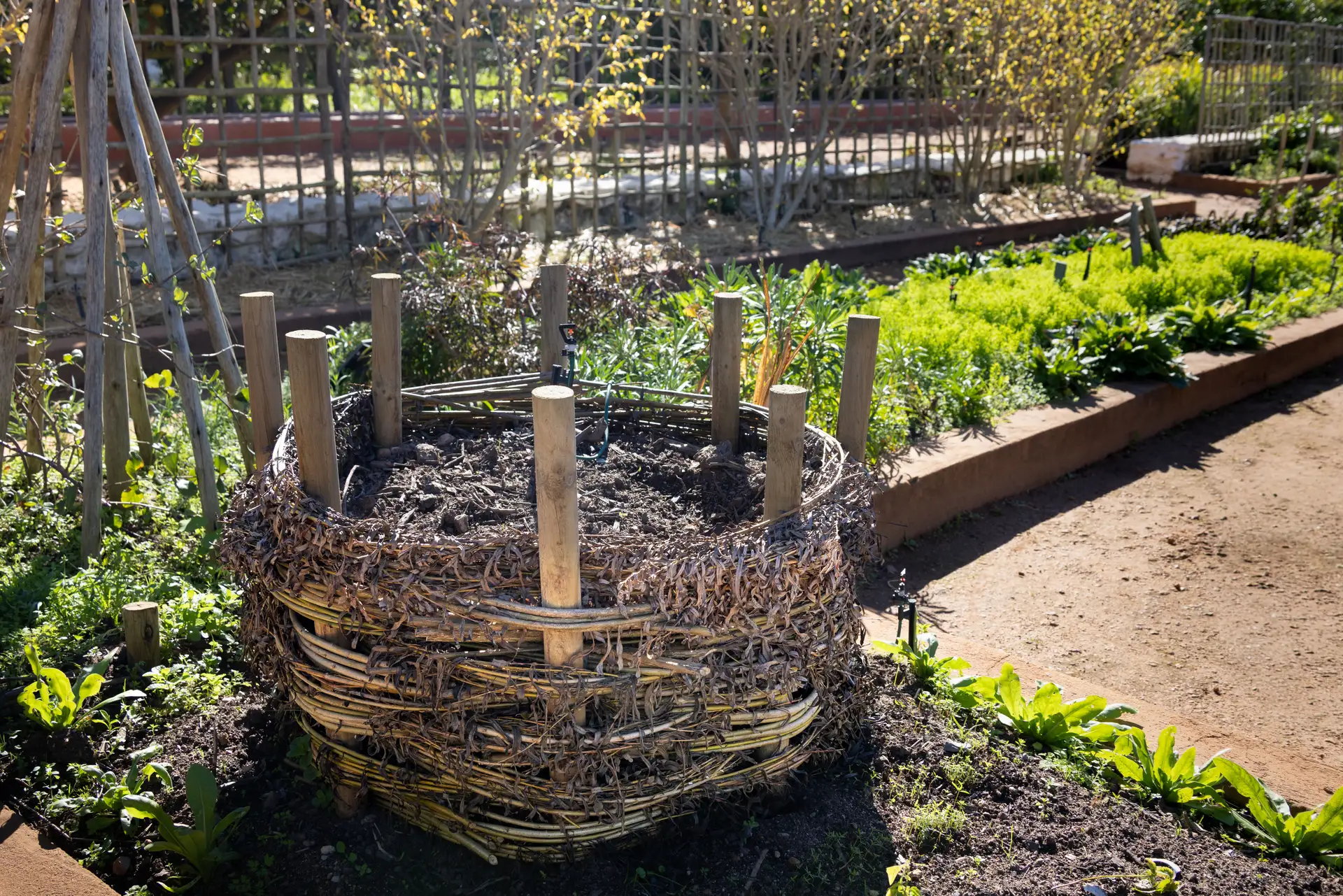 Best Compost Bin for Chicken Manure (And How to Compost It)